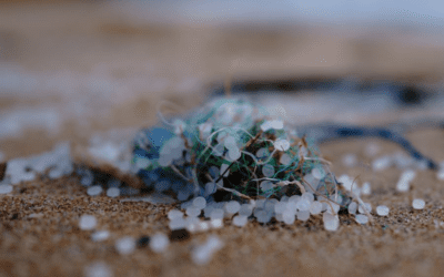 Microplastics and PEGs