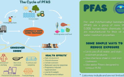 PFAS – Večné chemikálie