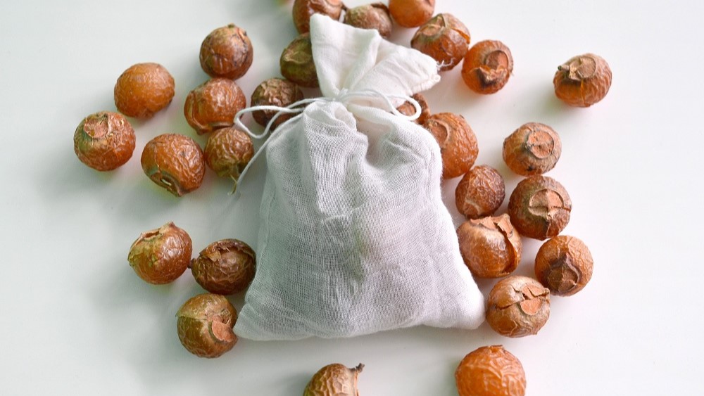 Soapnuts as a laundry detergent