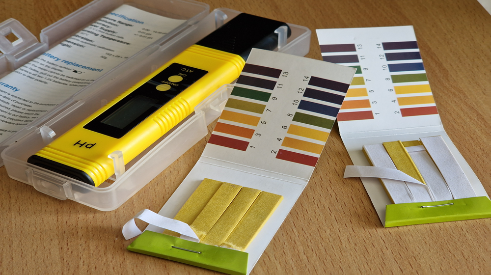 Skin pH and DIY Cosmetics: Why Does It Matter Whether Your Skin Is Acidic?