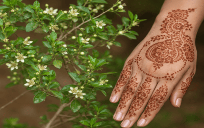 Henna: Natural Vibe or Chemical Trap? A Guide for Gen Z and Youth Workers