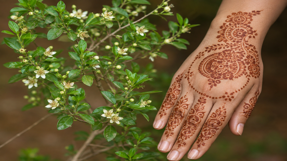 Henna: Natural Vibe or Chemical Trap? A&nbsp;Guide for Gen Z&nbsp;and Youth Workers